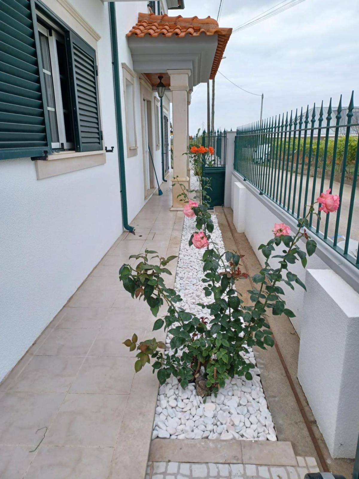 Lagoon & Country Side Home Ilhavo Ngoại thất bức ảnh